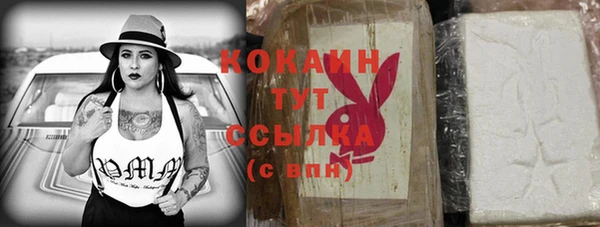 индика Армянск