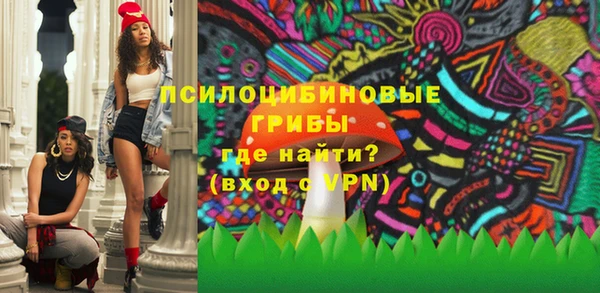 гидра Аркадак