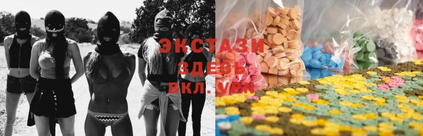 гидра Аркадак
