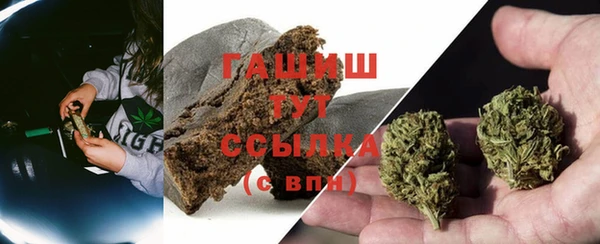 индика Армянск